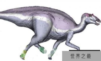 ​独孤龙：阿根廷小型食草恐龙（长3米/距今7300万年）