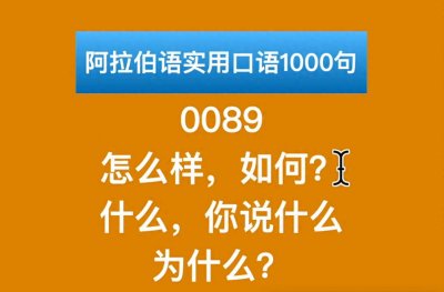 ​阿拉伯语实用口语1000句：0089